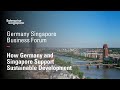 How Germany and Singapore Support Sustainable Development