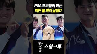 PGA 프로들이 하는 백만 불 짜리 꿀팁!?