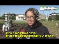 焼きいもや給食に　園児がシルクスイートと紅はるか収穫　三重・菰野町