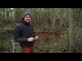 brown trout spawning estonia october 20