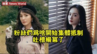 粉絲們為啥開始集體抵制吐槽杨幂了？ #杨幂 #yangmi #yangmi杨幂