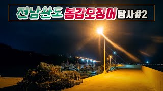 전남완도 봄갑오징어탐사 #2 쉽지않아 역시~ / 완도 / 봄갑오징어