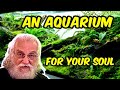 Maintain a Natural Aquarium for Your Health and Well Being