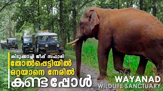 Wayanad Tholpetty Forest Wildlife Sanctuary | Jeep Safari |Thirunelli | തോൽപ്പെട്ടി ജീപ്പ് സഫാരി