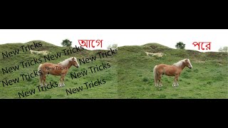 কিভাবে ছবি থেকে লেখা মুছতে হয় ,,,,How to remove text from picture by adobe photoshop,,remove text