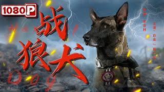 《#战狼犬》/ Warwolf Dog 无良老板欠债跑路丢下狗 好心女孩领养却发现这只狗不简单（白金 / 夏广炎）| Chinese Movie ENG
