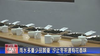 1131127觀天下新聞 雨水多量少品質優 汐止冬茶還有花香味