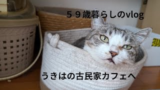 ＜59歳暮らしのvlog＞vol.19 うきは市へドライブpart4/ カルディ購入品/ねこたち　#うきは市　#旅する喫茶うきは　#カフェ　#カルディ