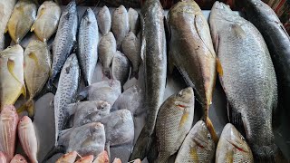 🐟31 July 2024 🐠கன்னியாகுமரி மாவட்ட கடல்மீன்கள்#seafood #beerichfishcorner #nagercoil #fish #youtube