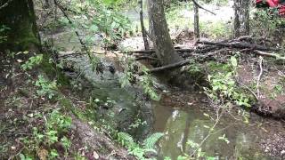 Sugartree Falls 49 northern fork