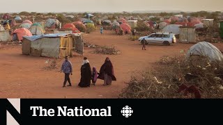 ‘They don’t believe the rain is coming back:’ Witnessing Somalia's devastating drought