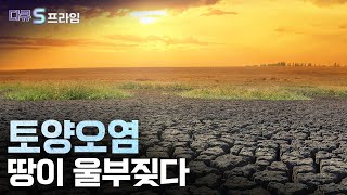 [다큐S프라임] 토양오염, 땅이 울부짖다 / YTN 사이언스