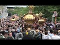 荏原神社例大祭 町内神輿 参集する 迫力満点 櫻河岸 渡御 2023.6.4 天王祭 目黒川