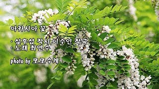 아카시아 꽃/심후섭 작시, 이수인 작곡/노래 최연수 \u0026 photo by 모모수계