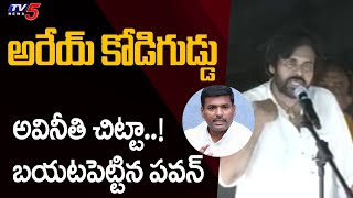 అరేయ్ కోడిగుడ్డు.. నీ అవినీతి చిట్టా..! | Pawan Kalyan Revealed Gudivada Amarnath Corruption |  TV5