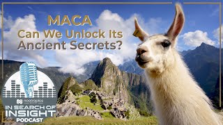 Maca | Can We Unlock The Secrets of this Ancient Traditional Medicine?