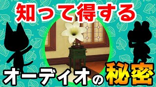 【あつ森】みんなは知ってた？オーディオ家具に関する細かい小ネタをまとめてみた!!【あつまれ どうぶつの森】【ぽんすけ】