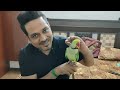 mummy papa ka cute beta pablo parrot