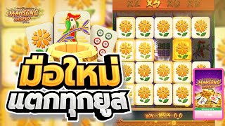 มือใหม่แตกทุกยูส สล็อตแตกง่าย สล็อตมาจองAMB ambสล็อต เว็บตรงไม่ผ่านเอเย่นต์ Mahjong Legend