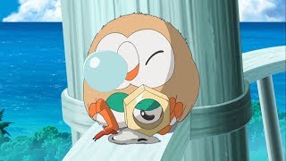 Rowlet Makes a New Friend! | Pokémon the Series: Sun \u0026 Moon—Ultra Legends | Official Clip