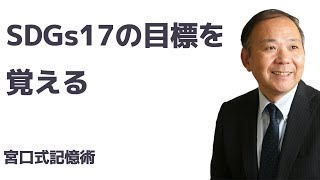 SDGs17(15-17)の目標を覚える