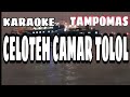 TAMPOMAS  KARAOKE  CELOTEH CAMAR TOLOL  BY.IWAN FALS