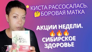 Киста рассосалась. Боровая матка. 🔥Акции недели от #Siberian wellnes