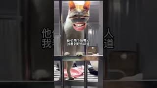 看热闹不嫌事大…… #沙雕配音 #搞笑动物 #专治不开心