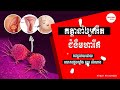 កត្តានាំឲ្យកើត ជំងឺមហារីក cancer causes វេជ្ជបណ្ឌិត គួយ សំណាង