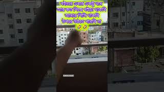 বোনরে এবার একটু থাম 🤣🤣#funny #shortsvideo #youtubeshorts #sorts #funnyvideo #Fatematravel