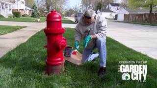 2017 Garden City Fire Hydrant Painting