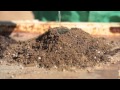 The Garden Gurus WA Easter Special - WA Soil Improvement