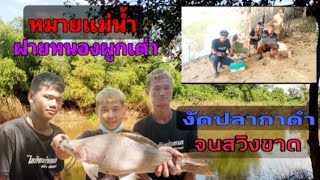 ไทบ้านบ่อทอง  / ตกปลาฝายหนองผูกเต่าตามหาปลากาดำ #ตกปลาหน้าดิน  #ตกปลาธรรมชาติ #ล่าปลากาดำ