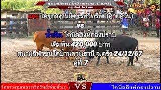 คู่ที่ 7 สนามกีฬาชนโคบ้านควนธานี จ.ตรัง 24/12/67 🔴#ขาวงามเพชรทวีทรัพย์vs🔵#นิลสิงห์กองปราบ