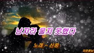 남자라 울지 못했다  -  신웅