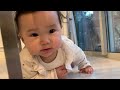 【生後7ヶ月】赤ちゃんの1日密着！　baby s routine