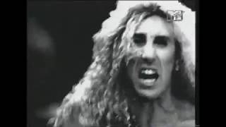 Widowmaker (Dee Snider) - Long Gone