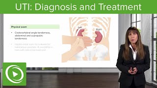 UTI: Diagnosis and Treatment – Nephrology | Lecturio