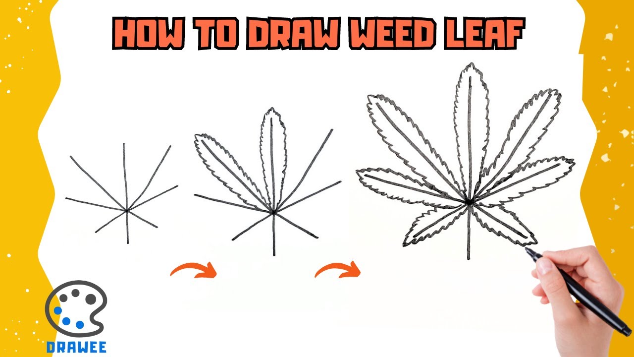 How To Draw A Weed Leaf Step By Step