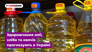 Здорожчання олії, хліба та овочів прогнозують в Україні: що кажуть на тернопільському ринку