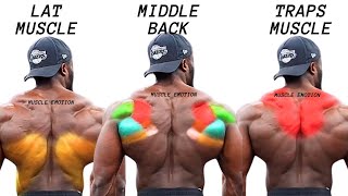 TOP 5 LAT MIDDLE BACK TRAPS WORKOUT WITH DUMBBELLS  CABLE AND MACHINE  AT GYM