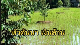 หัวคันนาที่นี่ สร้างรายได้มหาศาล