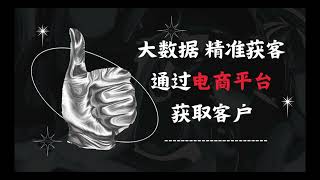 拓客系统，大数据获客系统，精准营销，DZ平台讲解，客户资料，讲解通过淘宝，拼多多，京东，亚马逊等电商平台来获取客户资料，官网：https://www.dizdata.com   #大数据 #精准营销