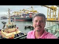 Little Pig Consulting Client Testimonial | Australian Cotton Shippers Association