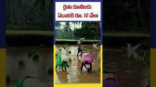 రైతు కూలీలకు ఏడాదికి రూ. 12 వేలు. | Ktv Telugu #ktvtelugu