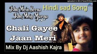Chali Gayee Jaan Meri| Ishq Mein Jeena Ishq Mein Marna | Divya Dutta | Ravi Sagar | Remix |DjAashish