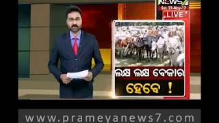 ଗୋ ବିକ୍ରି ଉପରେ କେନ୍ଦ୍ର ସରକାରଙ୍କ କଟକଣାକୁ ବିରୋଧ କରିଛି କେରଳ