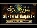 سورة البقرة كاملة تلاوة تريح القلب وتشرح الصدر - رقية للبيت وعلاج للسحر - علاء عقل Sourate Al-Baqara