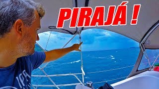 Velejando com chuva e mais de 20 nós na Ilha Grande - t02e77 Vlog IPA Dive \u0026 Sail