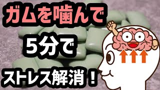 【咀嚼が大事！】5分ガムを噛んでストレス解消だ！20210805